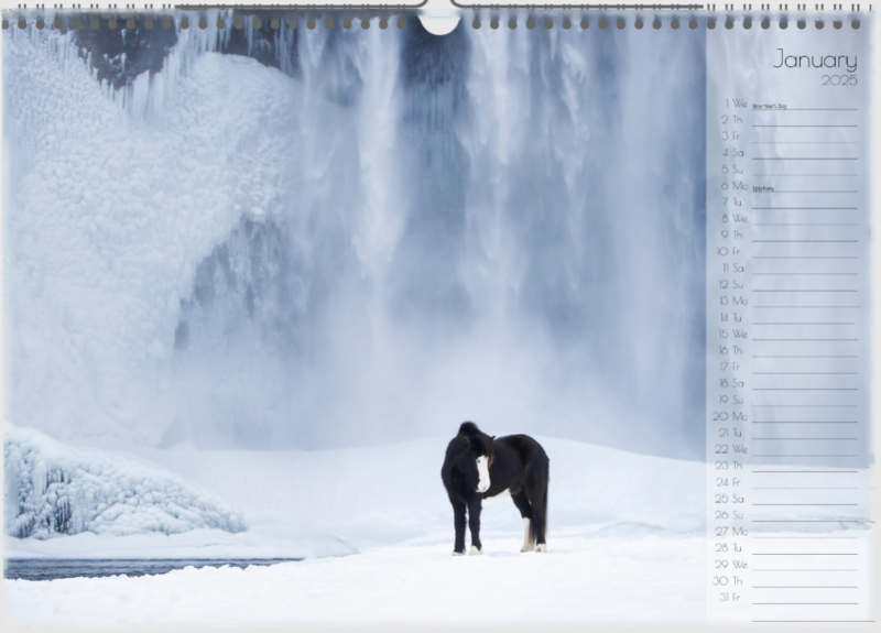 Calender "Icelandic Horses 2025" - Image 3