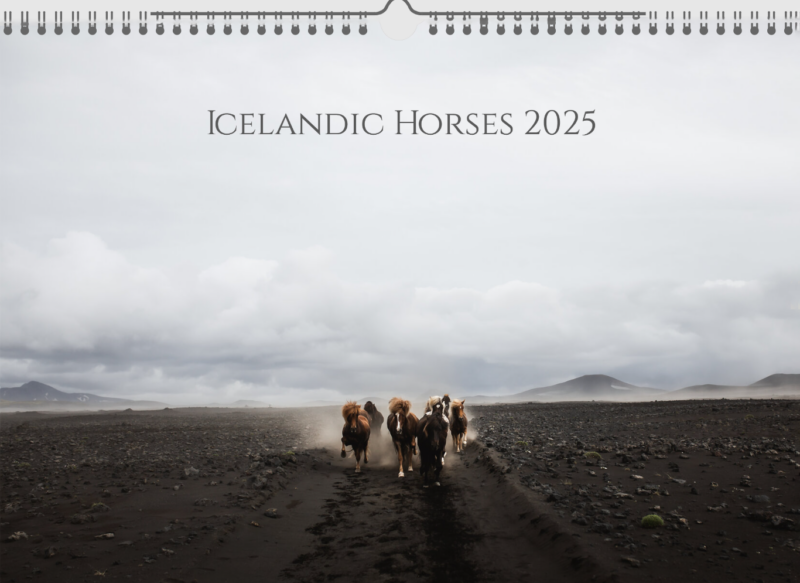 Calender "Icelandic Horses 2025"