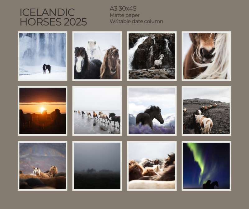 Calender "Icelandic Horses 2025" - Image 4