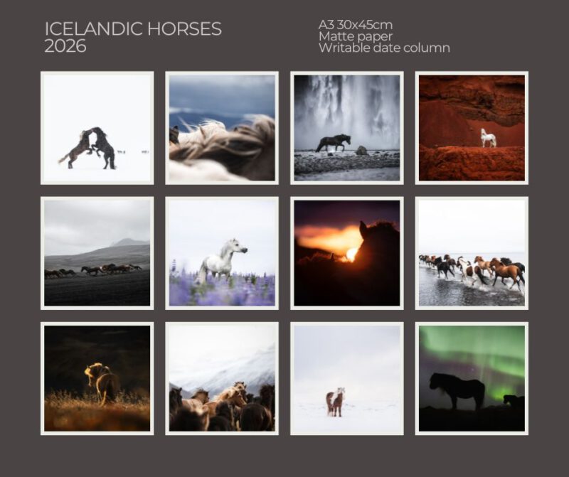 Calender "Icelandic Horses 2026"