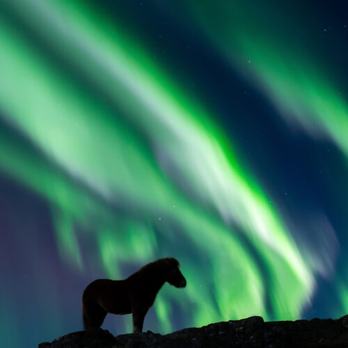 Fine Art Print `Norðurljós´