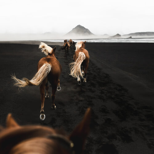 Fine Art Print "Mælifellssandur"